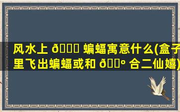 风水上 🐒 蝙蝠寓意什么(盒子里飞出蝙蝠或和 🌺 合二仙嬉)